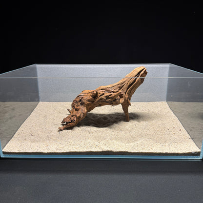 10”-12” Malaysian Driftwood [Tannins]