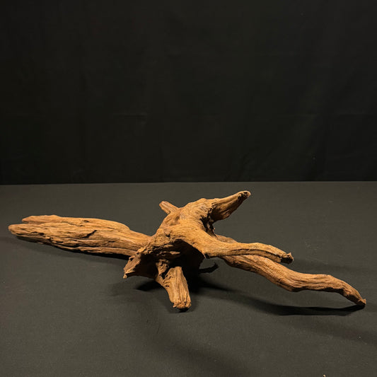 22” Malaysian Driftwood