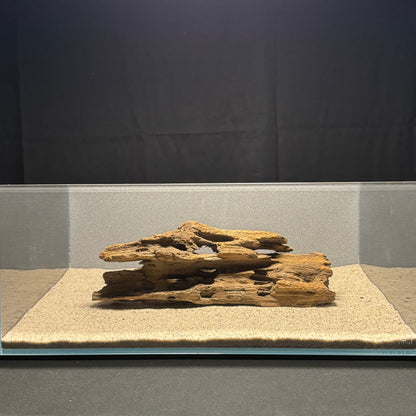 Dragon Wood for Aquarium (12-16")