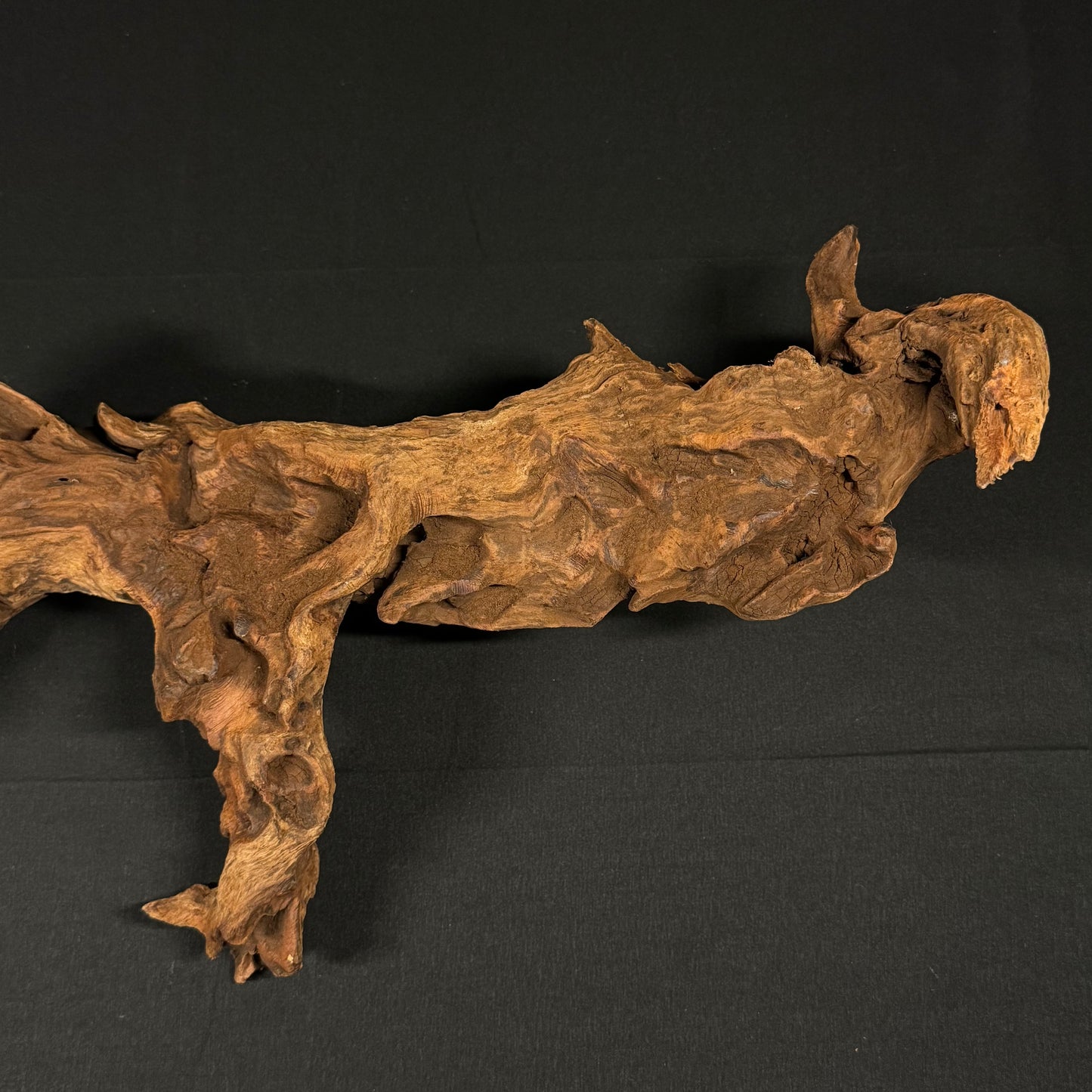 22” Malaysian Driftwood