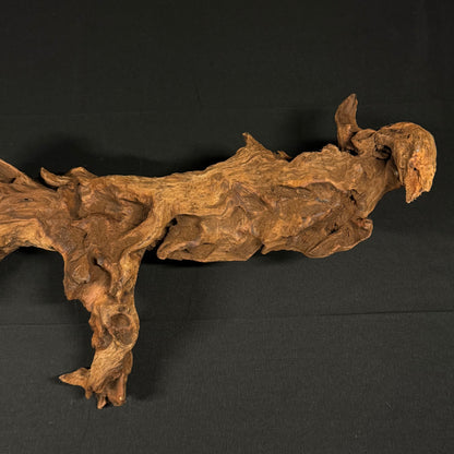 22” Malaysian Driftwood