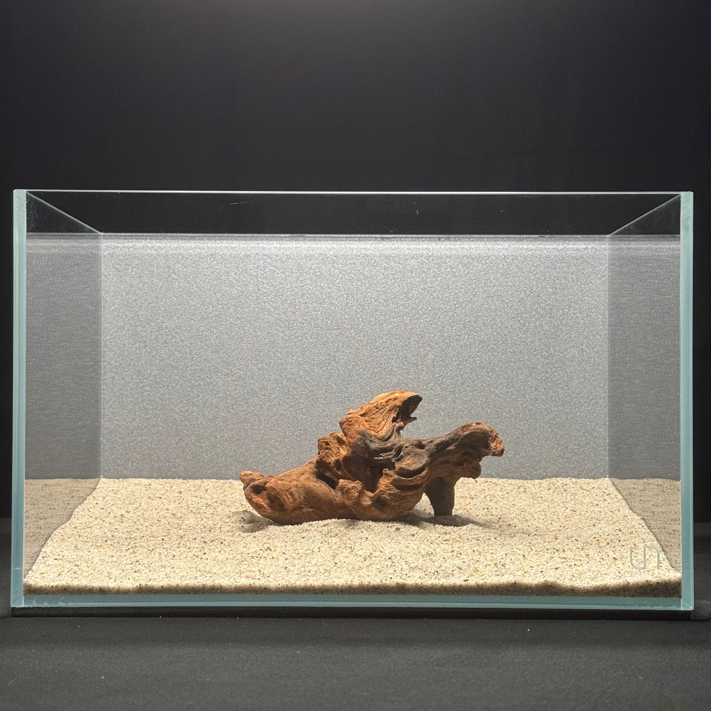 5”-8” Malaysian Driftwood