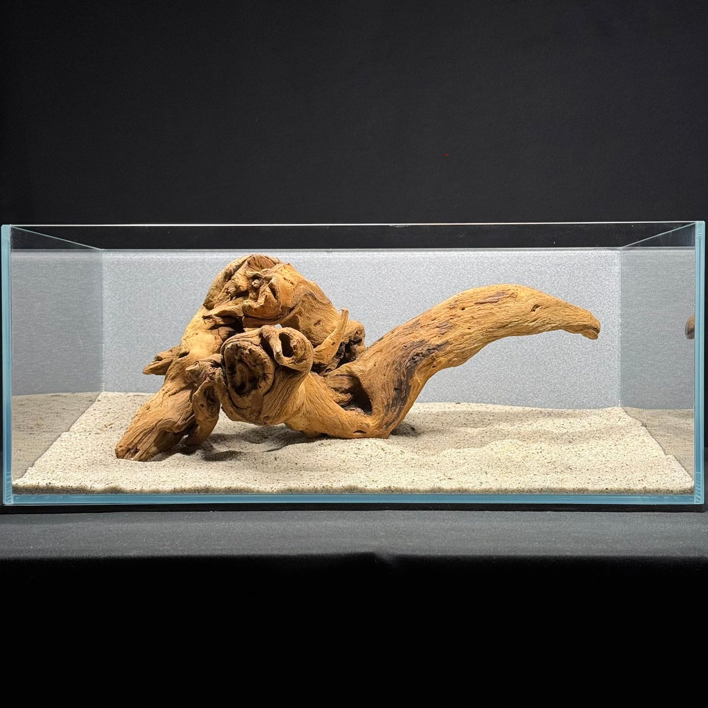 12”-16” Malaysian Driftwood