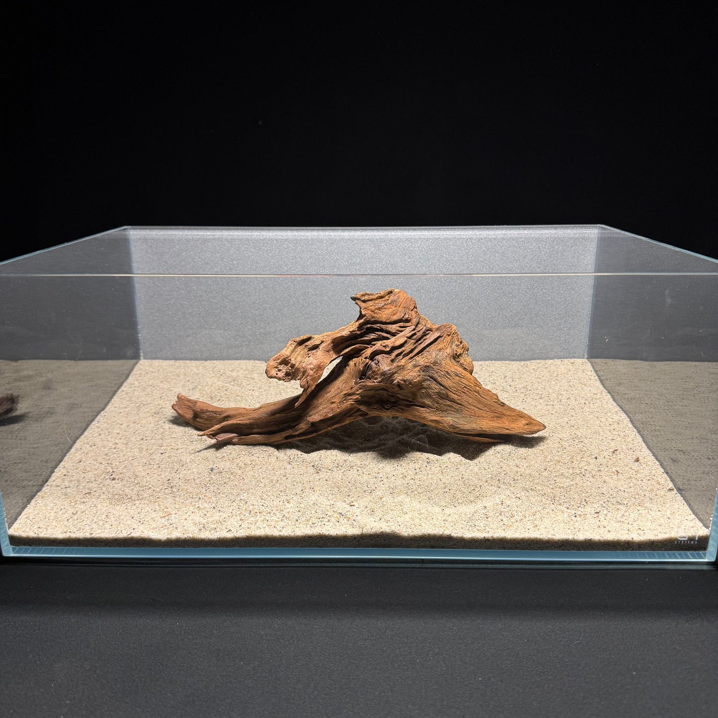 10”-12” Malaysian Driftwood [Tannins]
