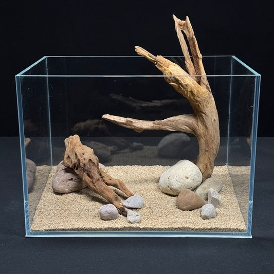2 Gallon Complete Nano Hardscape Setup