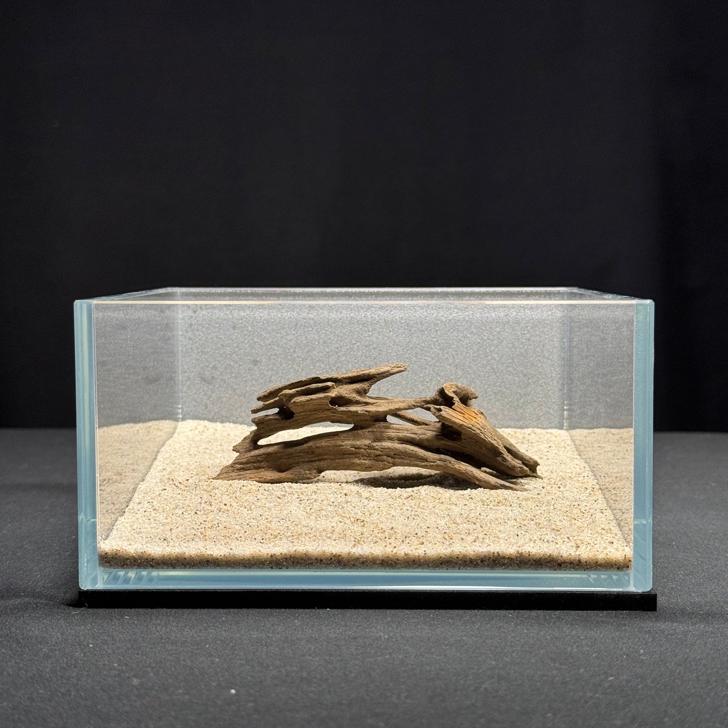 3”-5” Dragon Wood