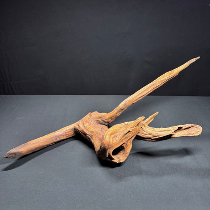 21” Malaysian Driftwood