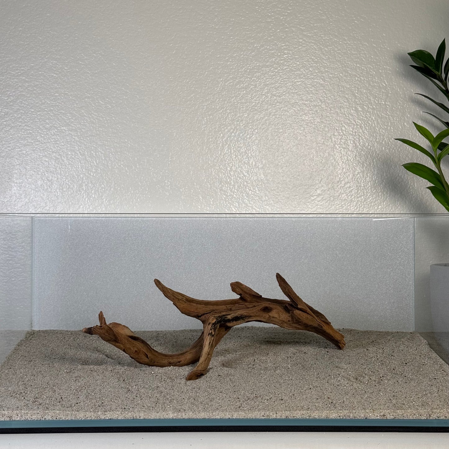 8"-12" Malaysian Driftwood