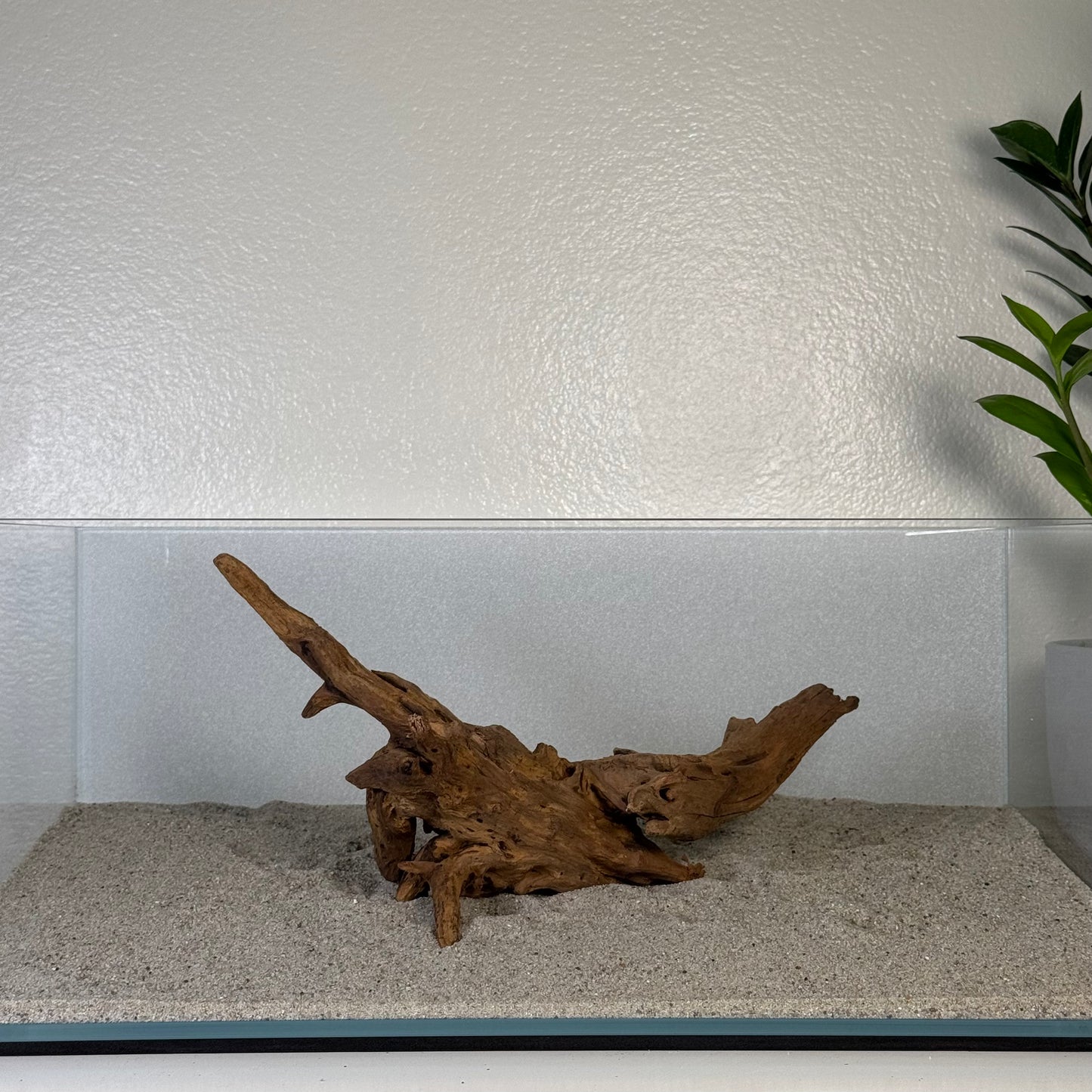 8"-12" Malaysian Driftwood