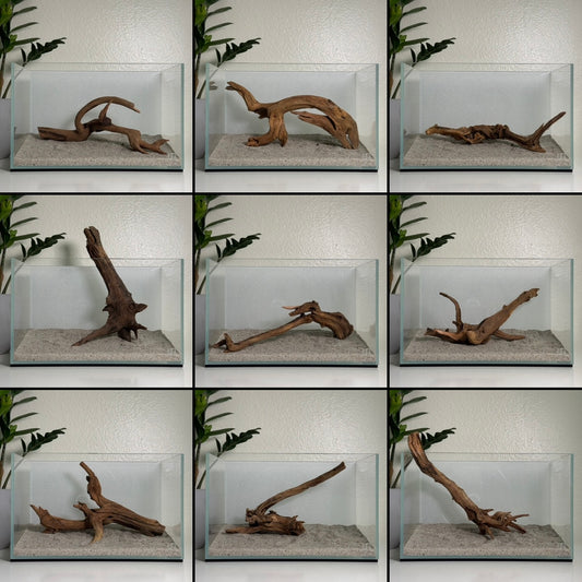 10"-12" Malaysian Driftwood