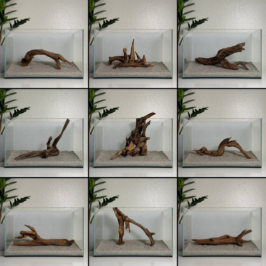 8"-12" Malaysian Driftwood