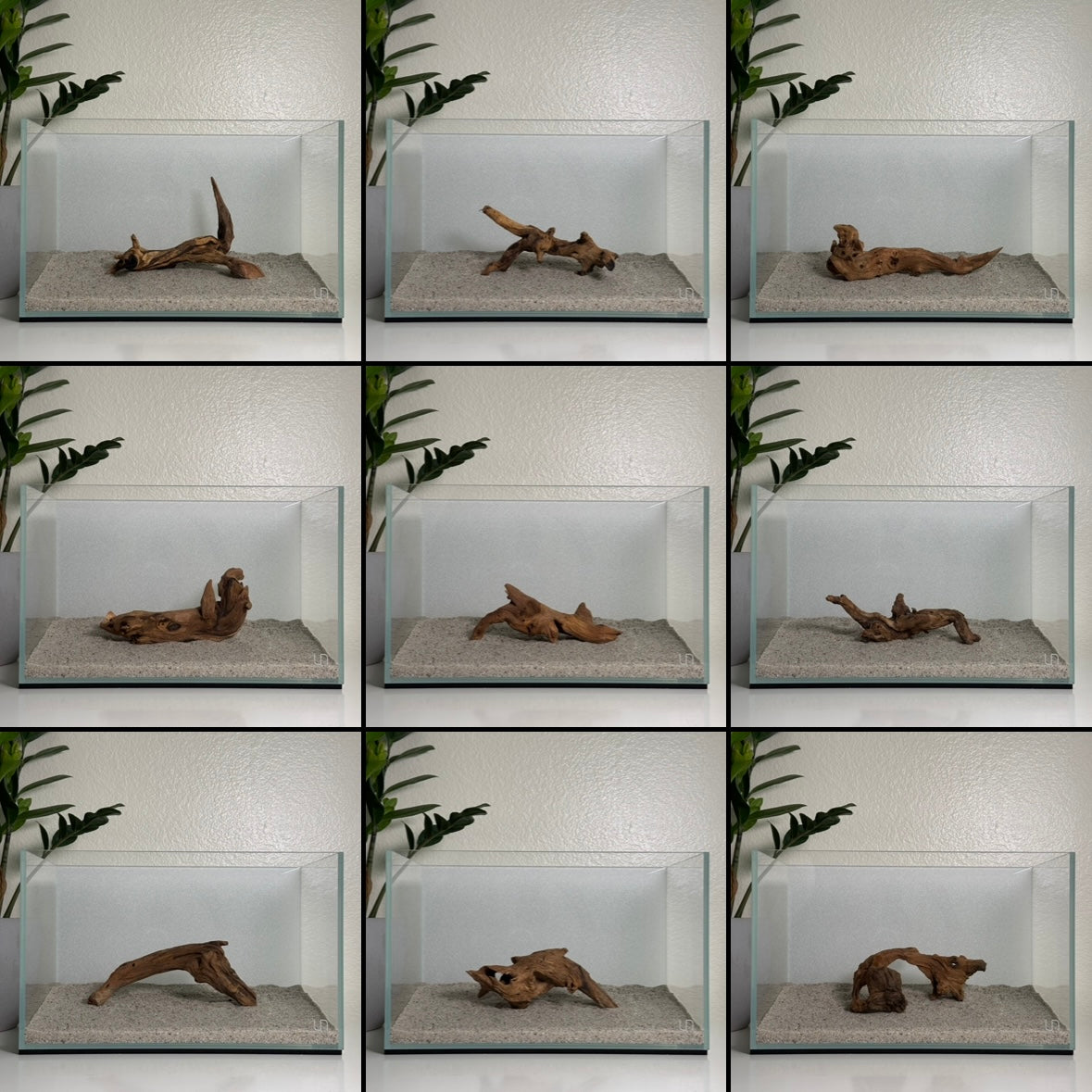 6"-8" Malaysian Driftwood