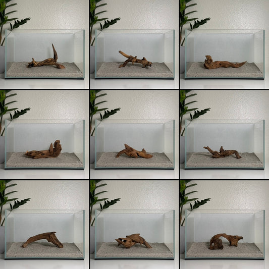 6"-8" Malaysian Driftwood