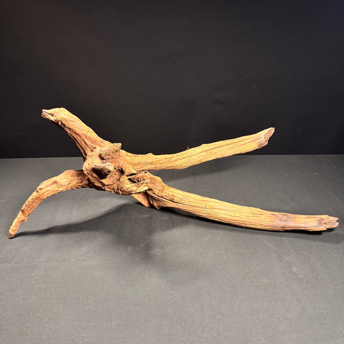 Extra Large Aquarium Driftwood a1