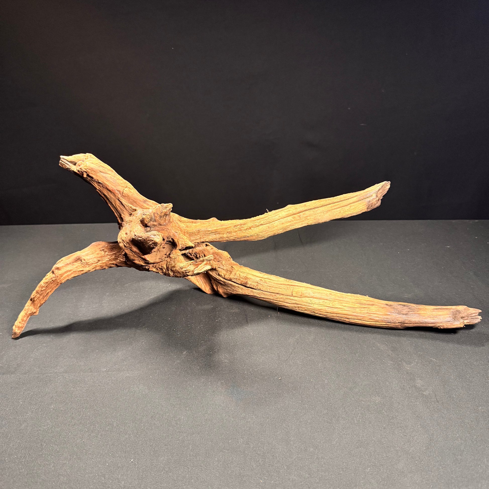 Extra Large Aquarium Driftwood a1