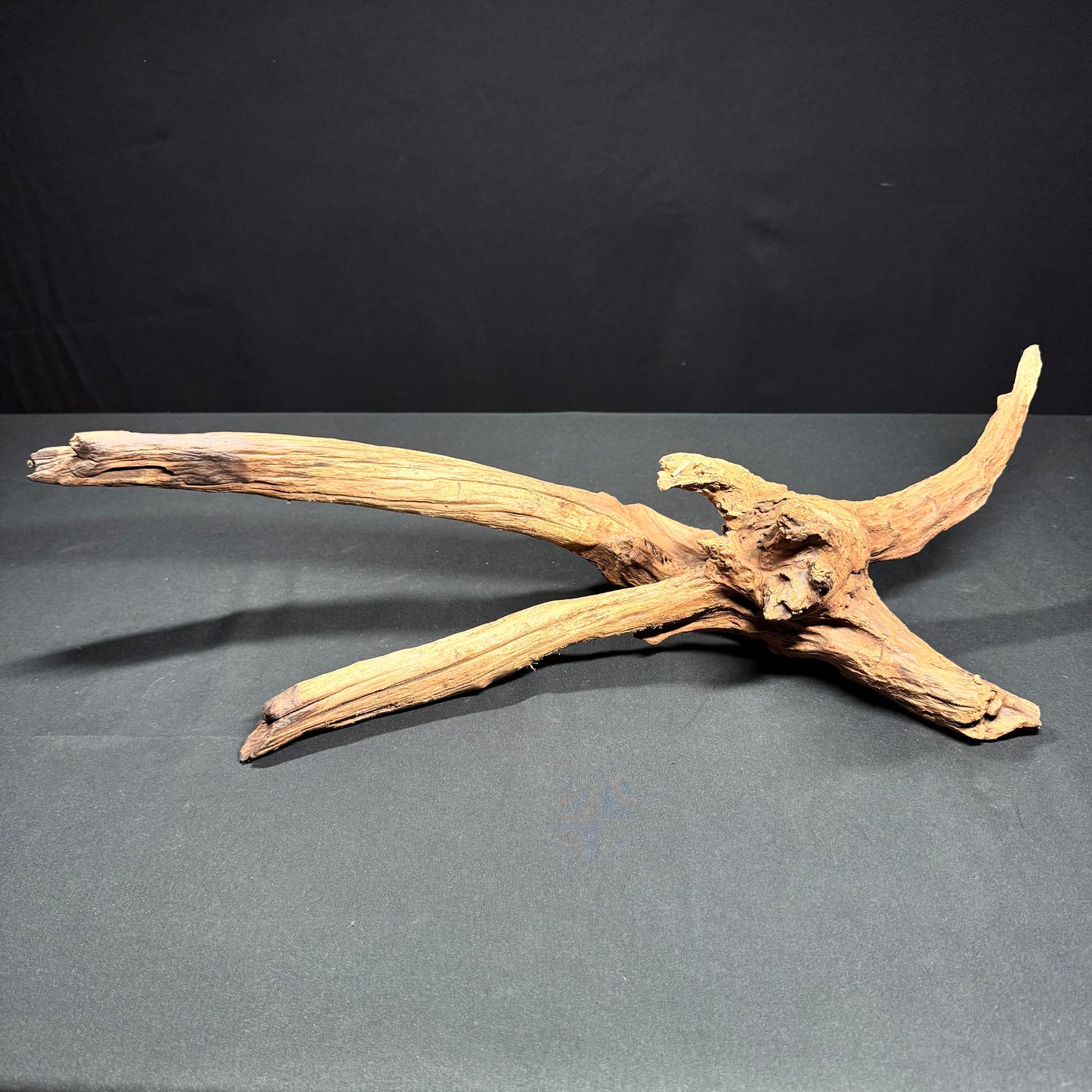 Extra Large Aquarium Driftwood a1