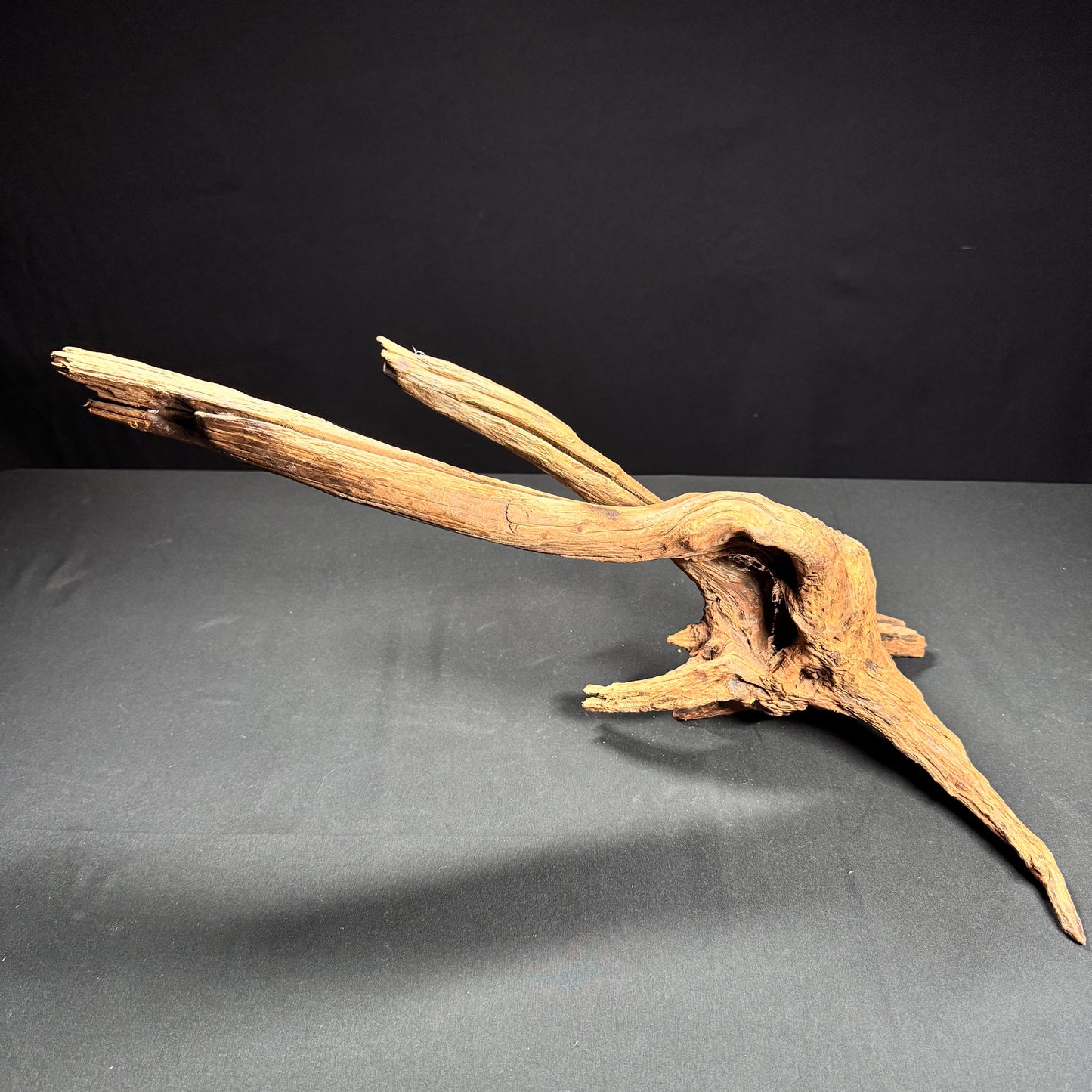 Extra Large Aquarium Driftwood a3