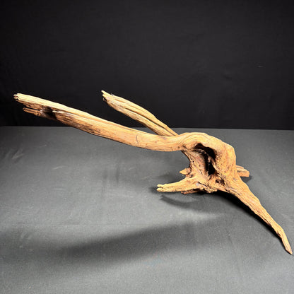 Extra Large Aquarium Driftwood a3