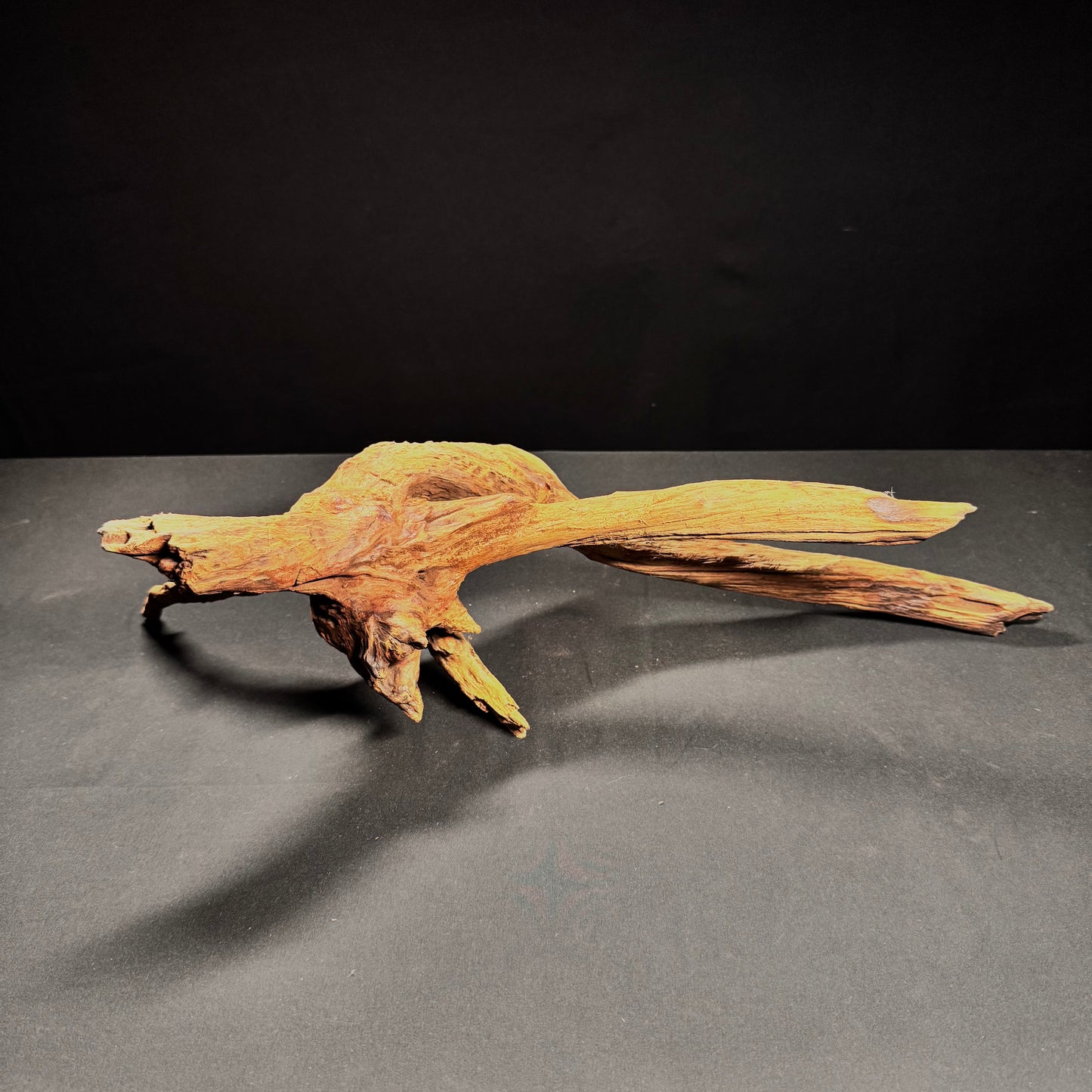 Extra Large Aquarium Driftwood a4