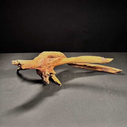 Extra Large Aquarium Driftwood a4