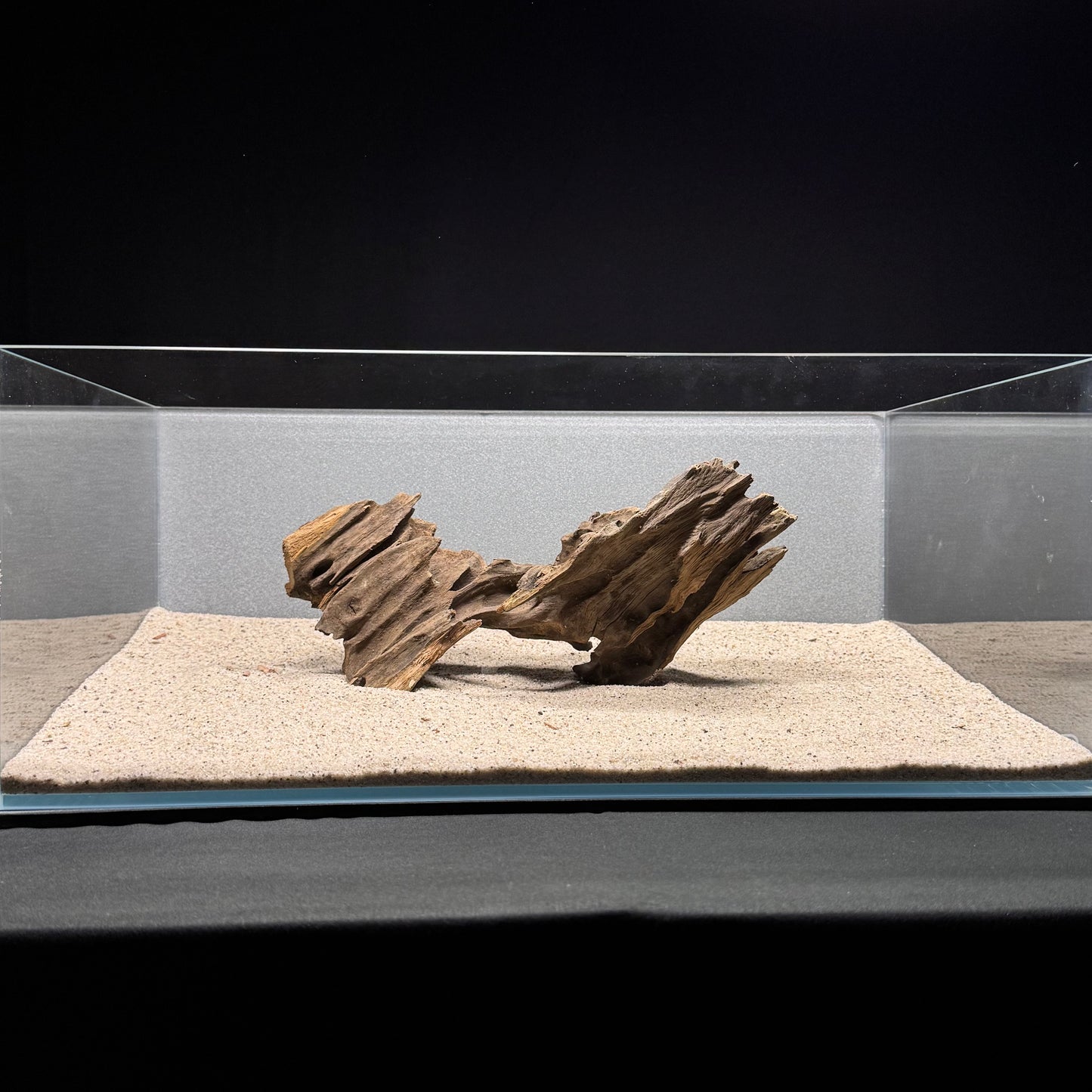 Dragon Wood for Aquarium (9-12")