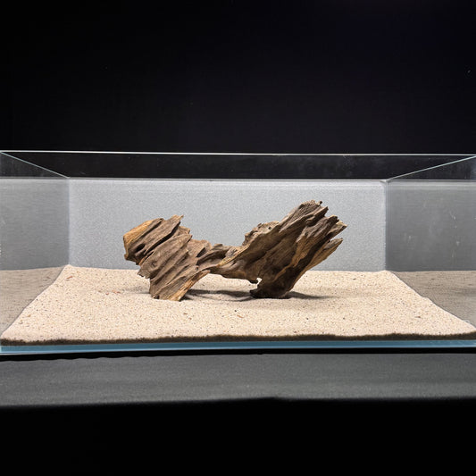Dragon Wood for Aquarium (9-12")
