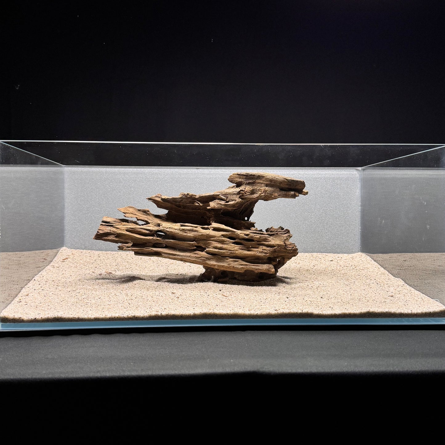 Dragon Wood for Aquarium (9-12")