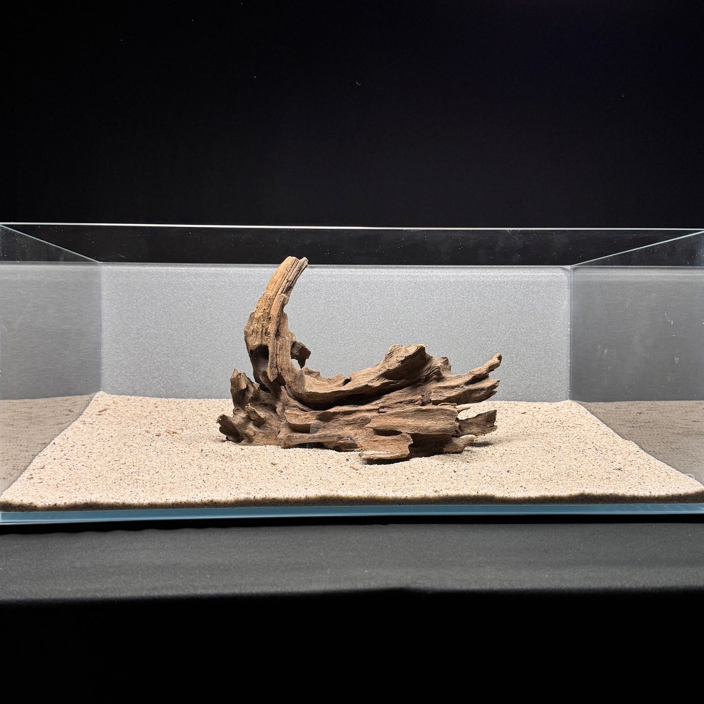 Dragon Wood for Aquarium (9-12")