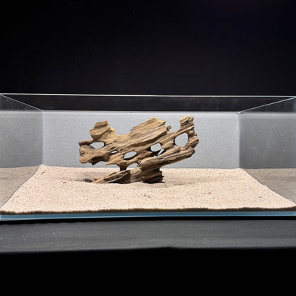 Dragon Wood for Aquarium (9-12")