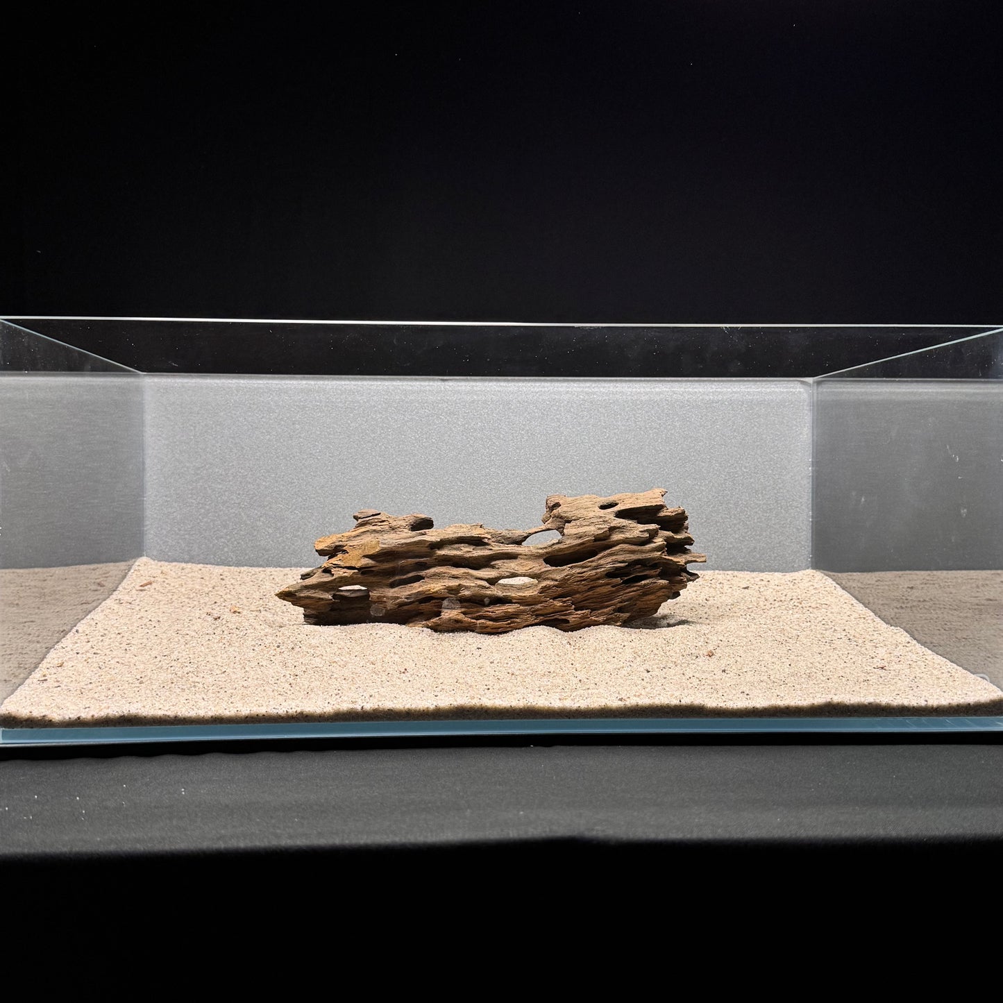 Dragon Wood for Aquarium (9-12")
