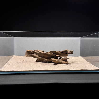 Dragon Wood for Aquarium (9-12")