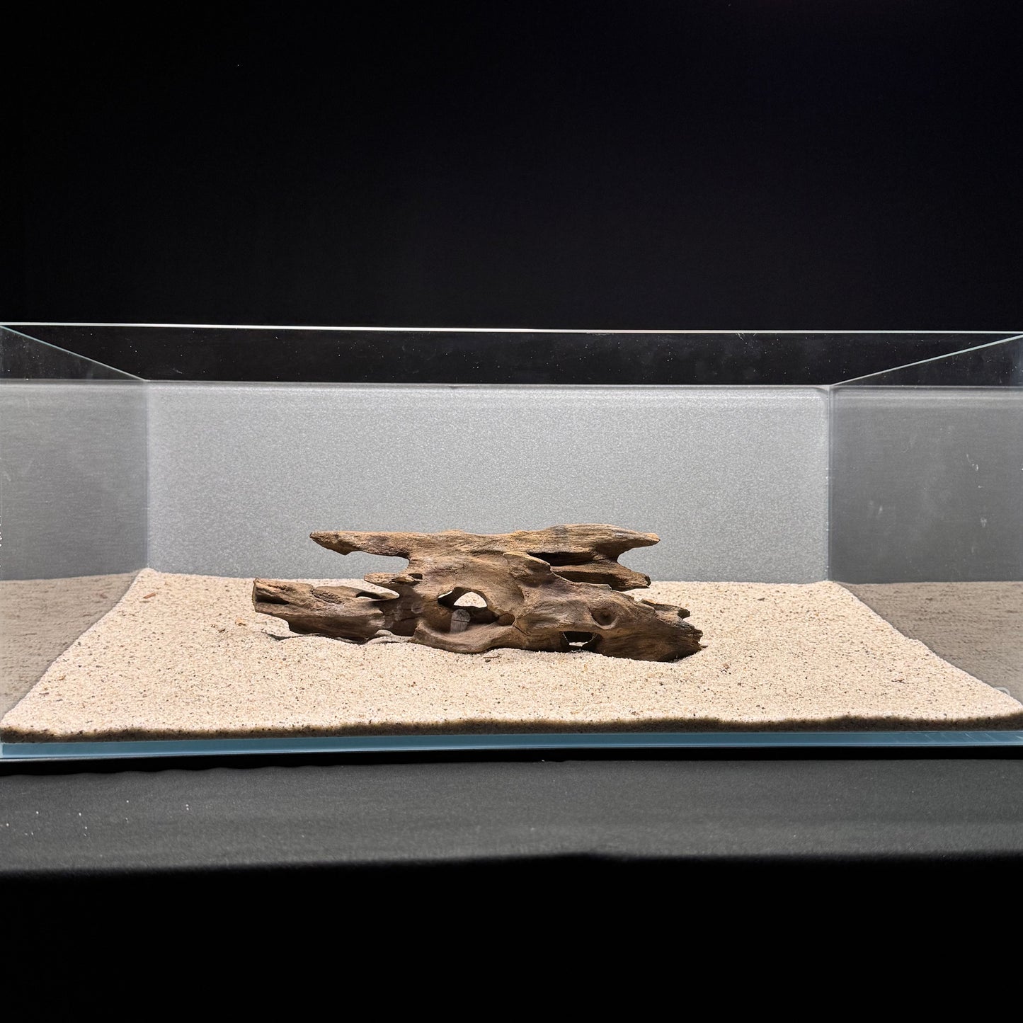 Dragon Wood for Aquarium (9-12")