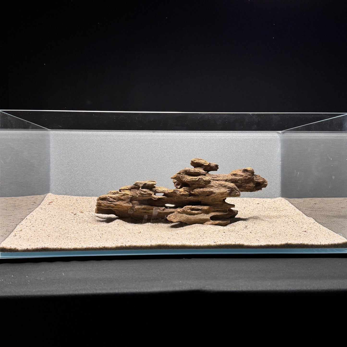 Dragon Wood for Aquarium (9-12")