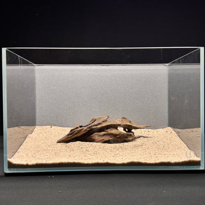 Dragon Wood for Aquarium (6-9")