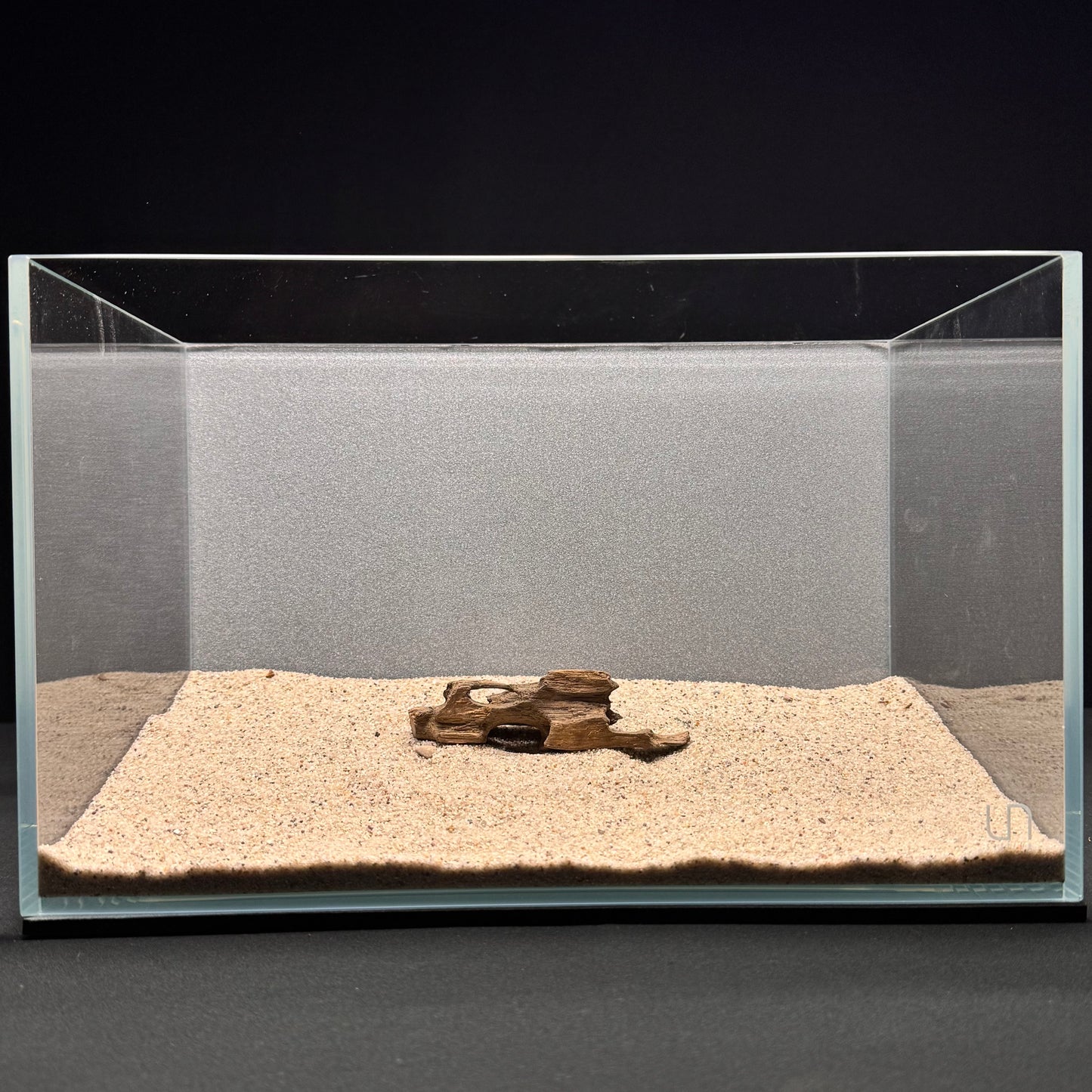 Dragon Wood for Aquarium (3-6")