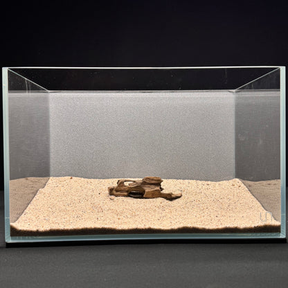 Dragon Wood for Aquarium (3-6")
