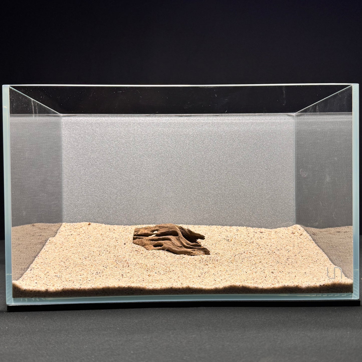 Dragon Wood for Aquarium (3-6")