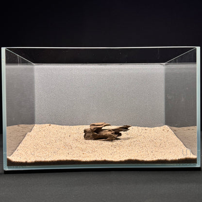 Dragon Wood for Aquarium (3-6")