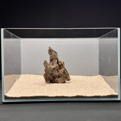 Dragon Wood for Aquarium (3-6")