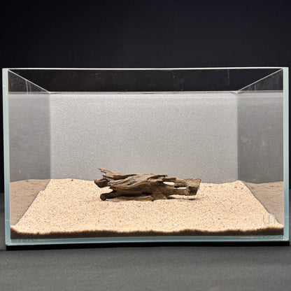 Dragon Wood for Aquarium (3-6")
