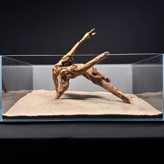 Malaysian Driftwood for Aquarium (12-14")