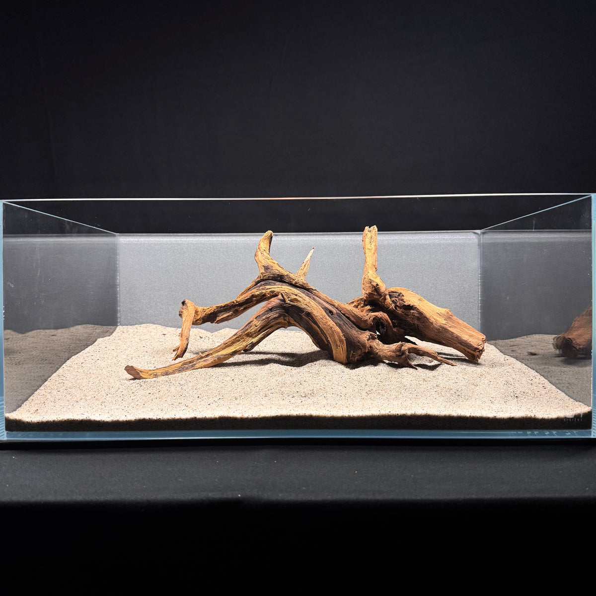 Malaysian Driftwood for Aquarium (12-14")