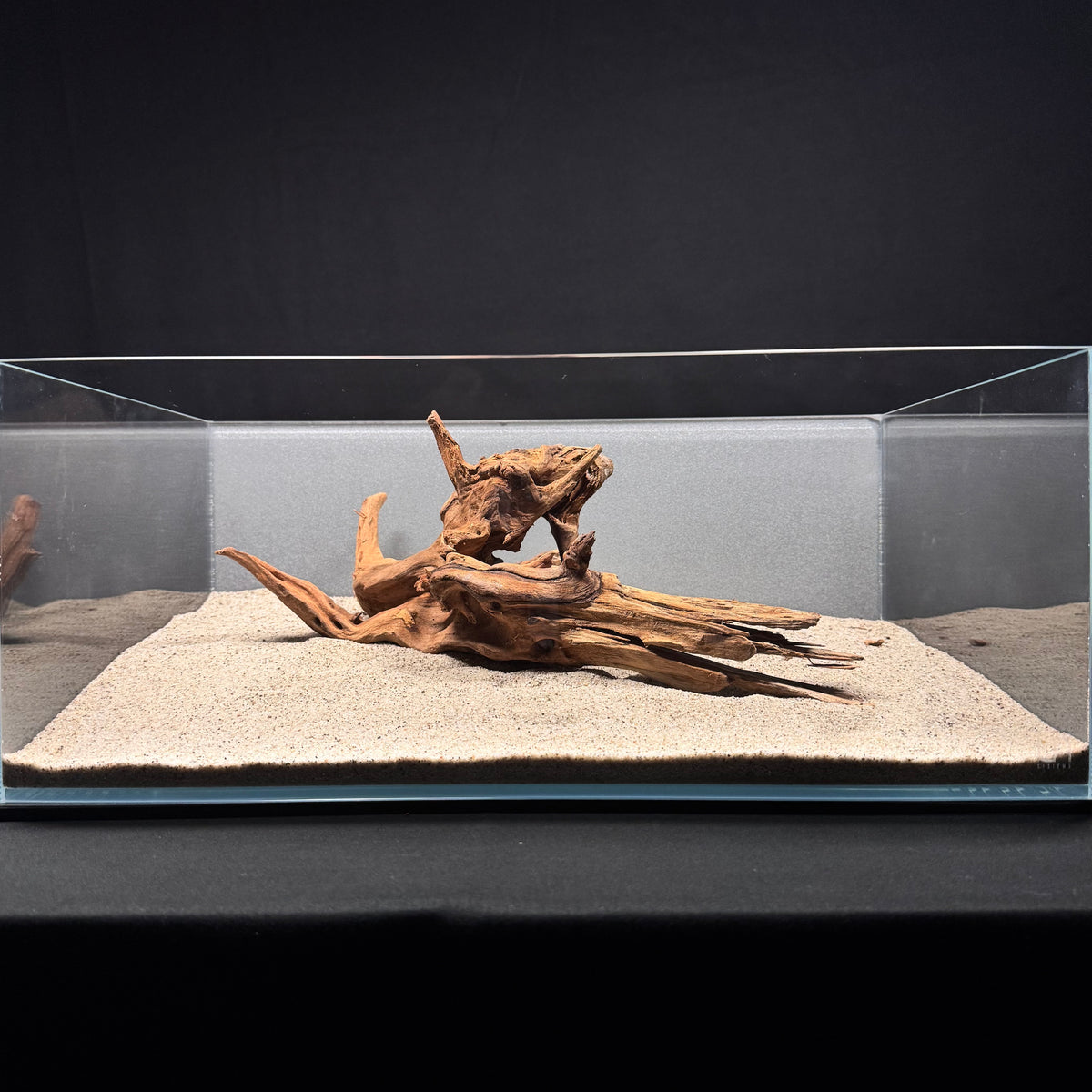 Malaysian Driftwood for Aquarium (12-14")