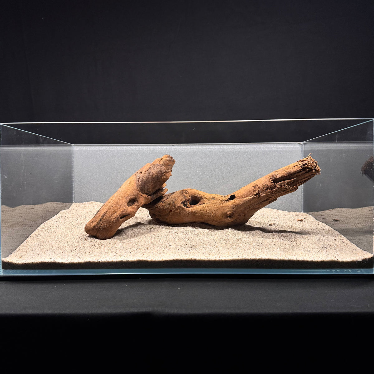 Malaysian Driftwood for Aquarium (12-14")