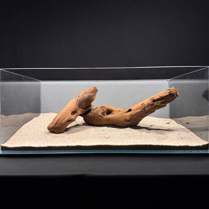 Malaysian Driftwood for Aquarium (12-14")