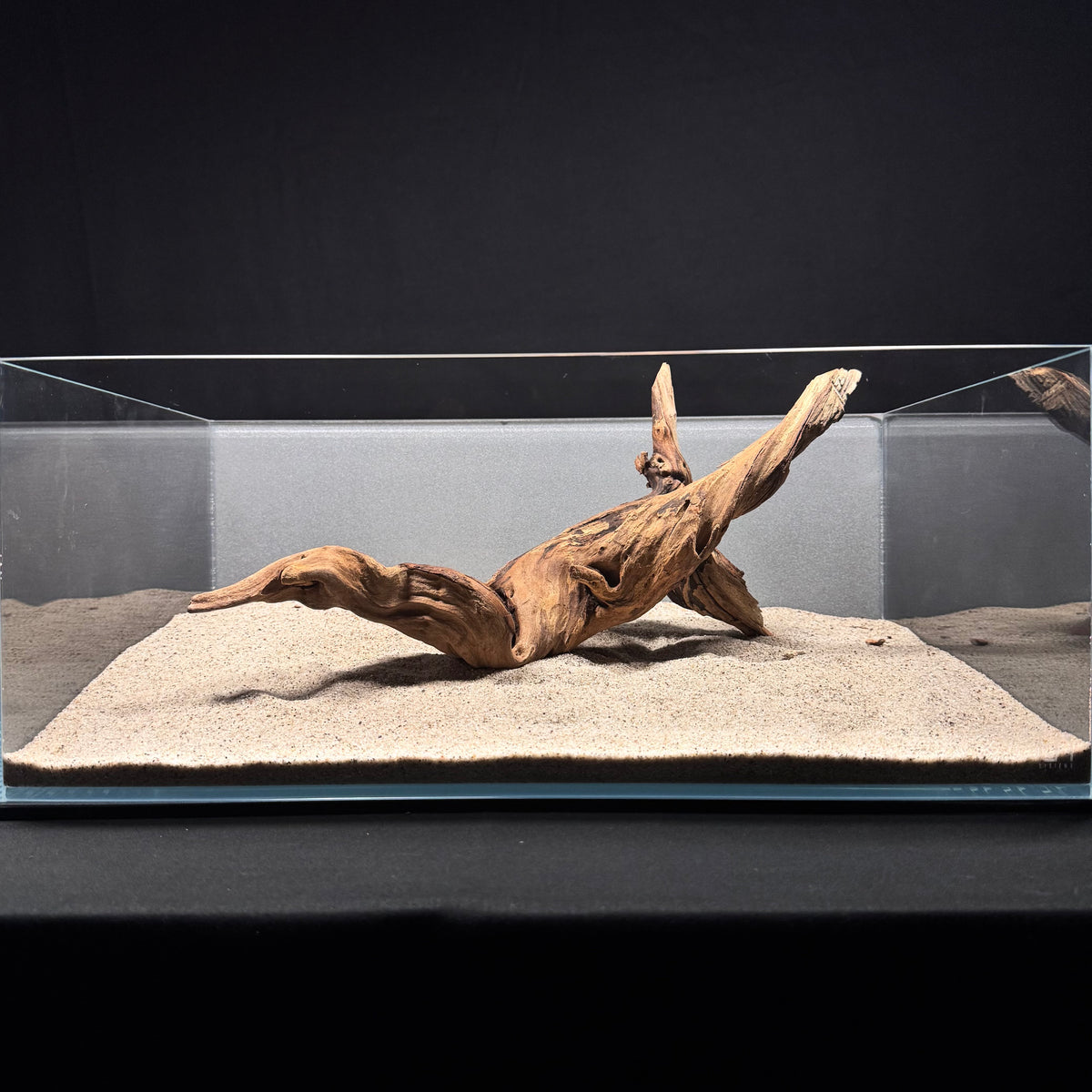 Malaysian Driftwood for Aquarium (12-14")