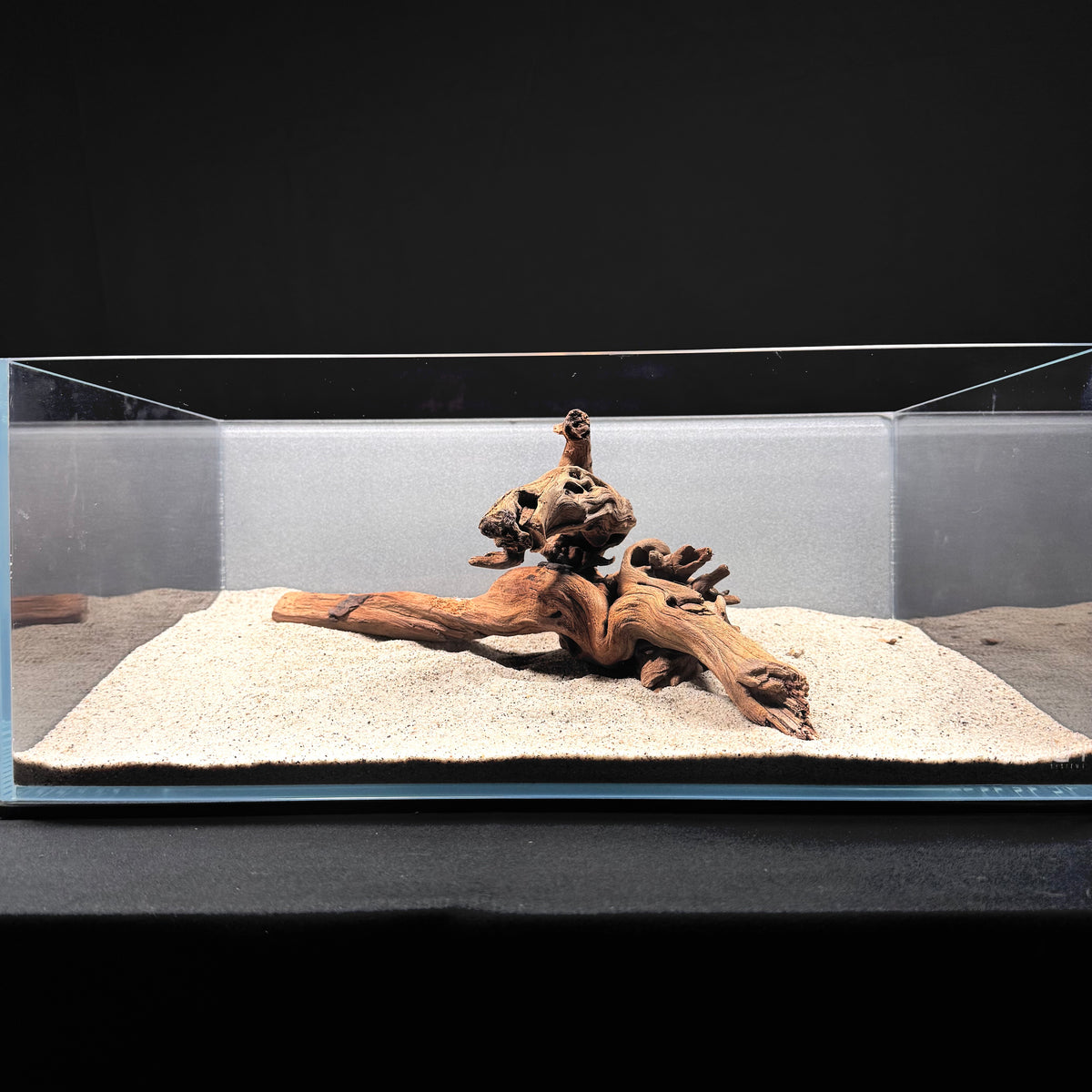 Malaysian Driftwood for Aquarium (12-14")