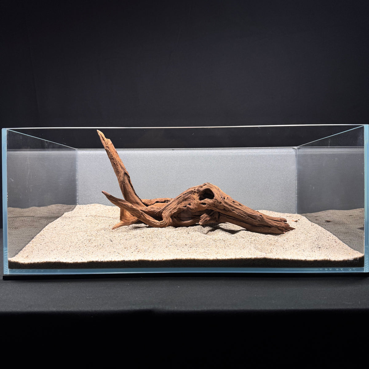 Malaysian Driftwood for Aquarium (12-14")