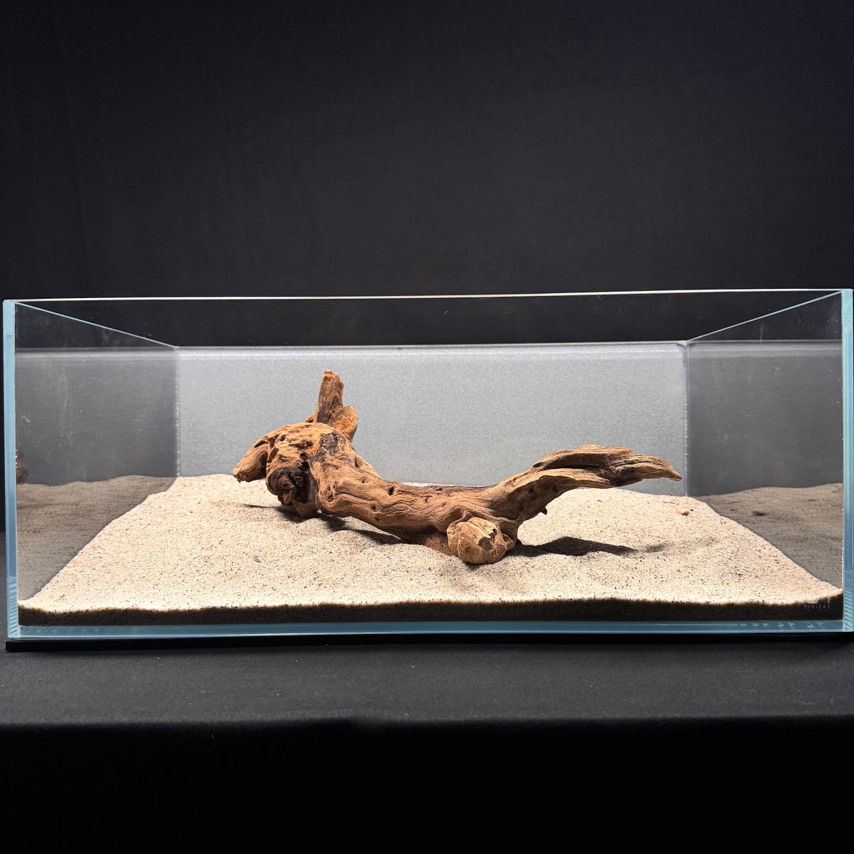 Malaysian Driftwood for Aquarium (12-14")