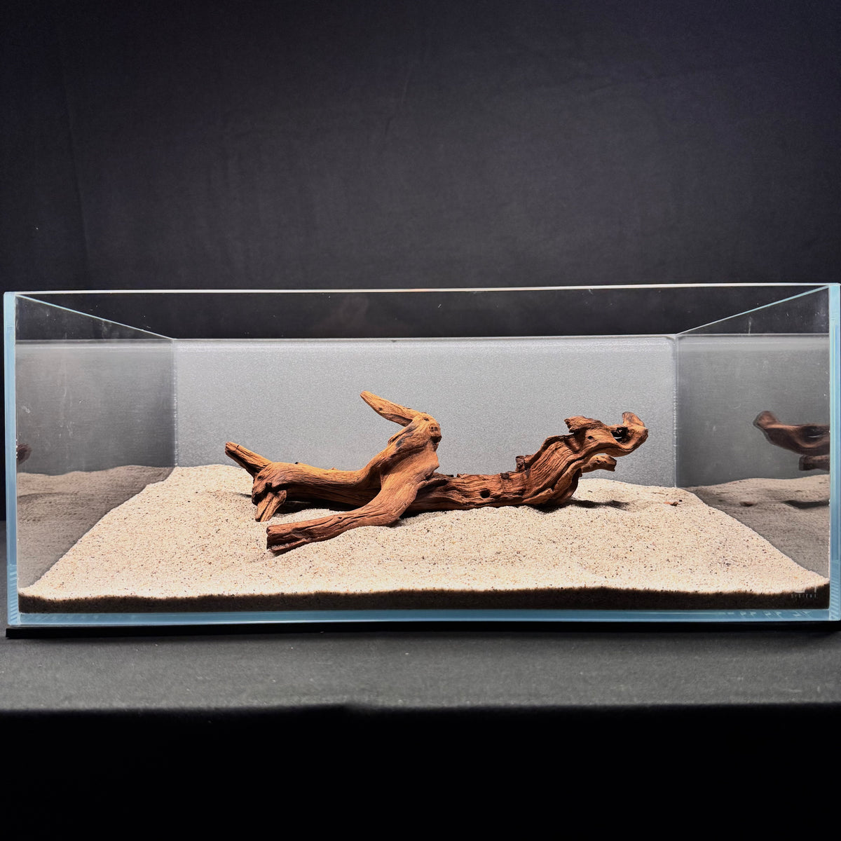 Malaysian Driftwood for Aquarium (12-14")